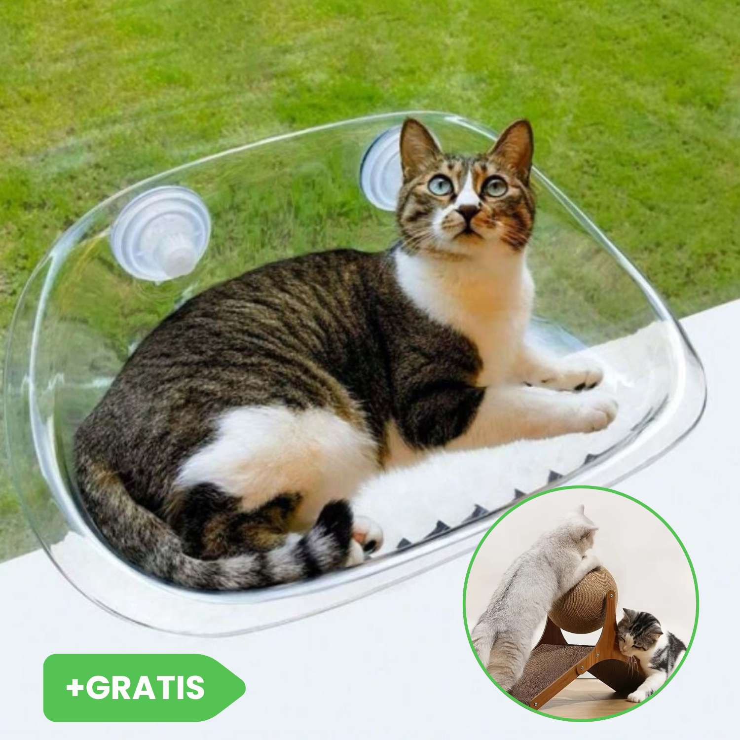 Pat de fereastră pentru pisici CATNEST + Jucărie rotativă cu bilă pentru pisici JISADER GRATIS